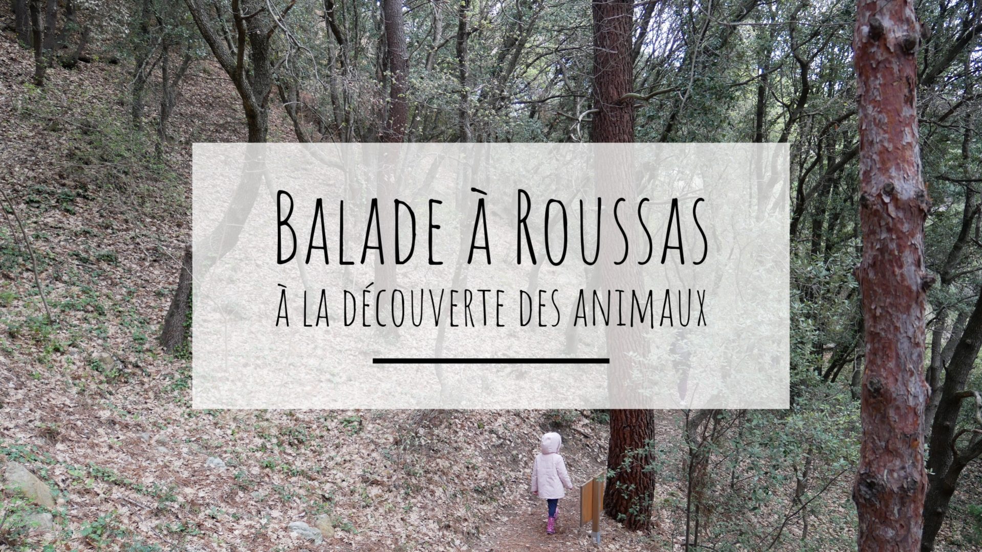 A la découverte des animaux à Roussas