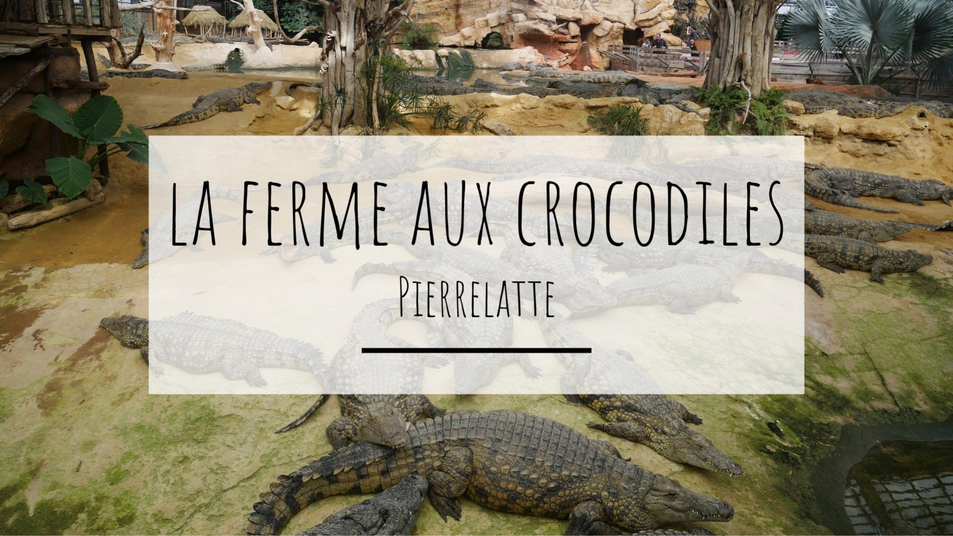 La ferme aux crocodiles