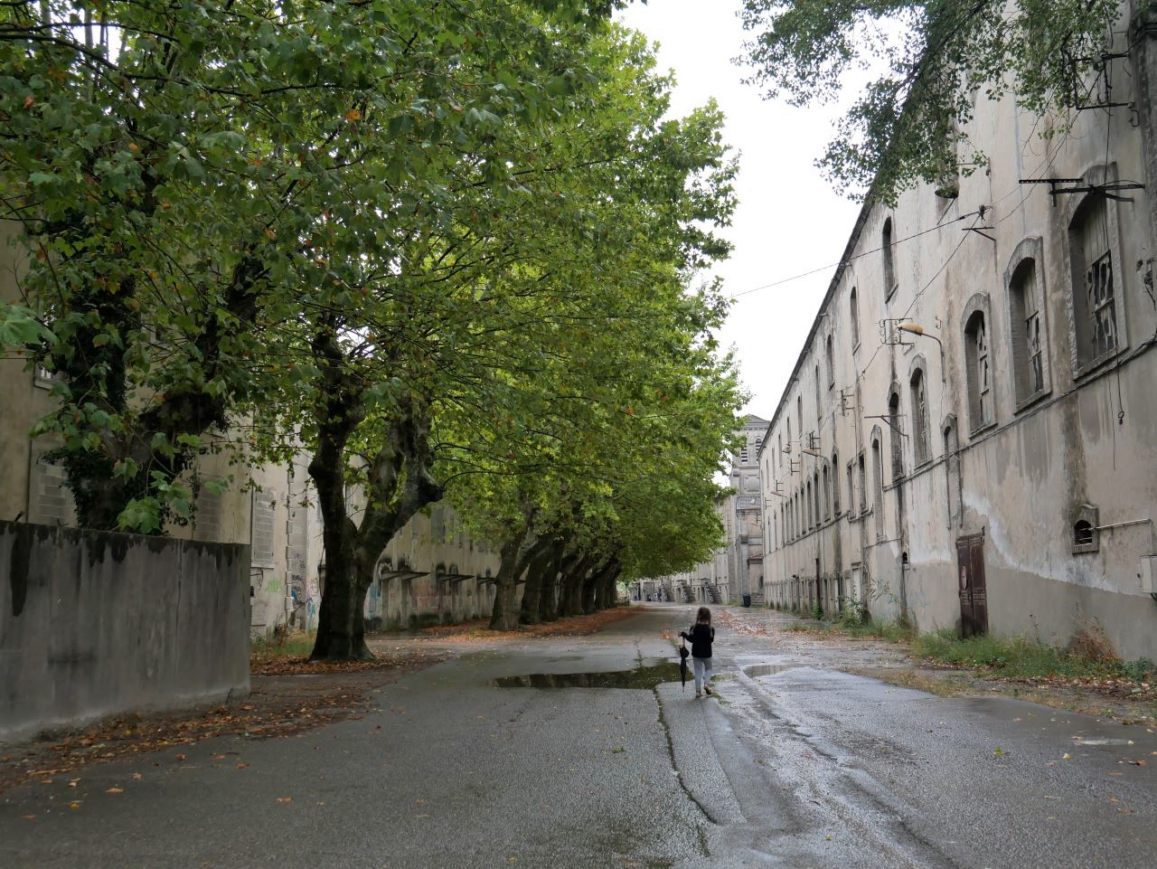 Retour dans le passé à la cité Blanche